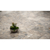 Silver Marble Paver French Pattern Set 20mm